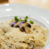 Папарделлє з курочкою та грибами Black Coine (Блек Коін)